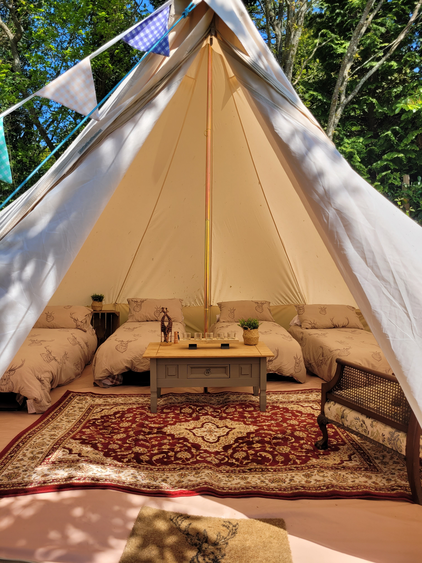 Bell tent interior with beds and rug