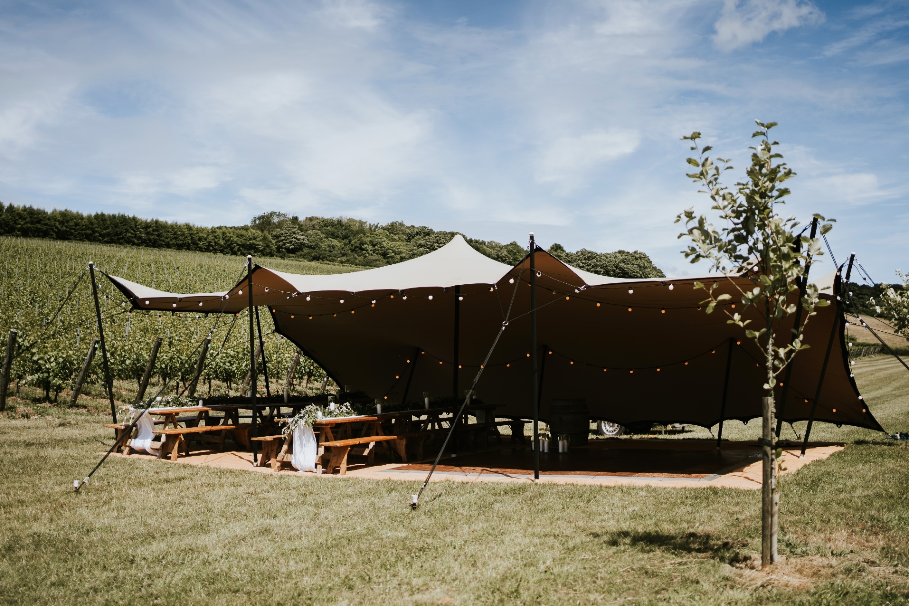 Small stretch tent pitched in a vineyard